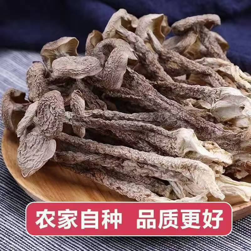 鹿茸菇干货新鲜头茬新货嫩仔煲汤爆炒食材炒菜凉拌