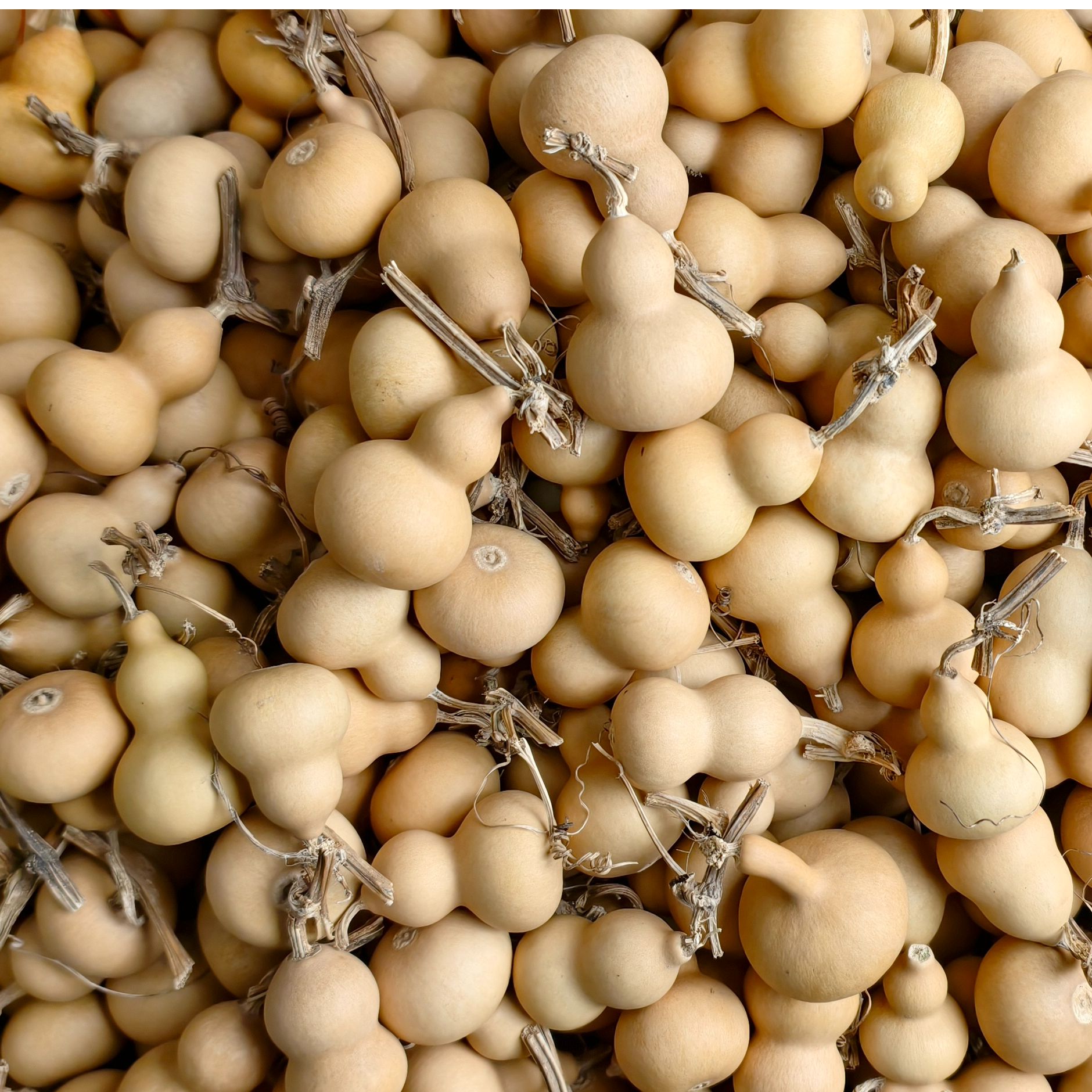 可盘玩文玩小葫芦手把件 [默认微瑕介意勿拍]