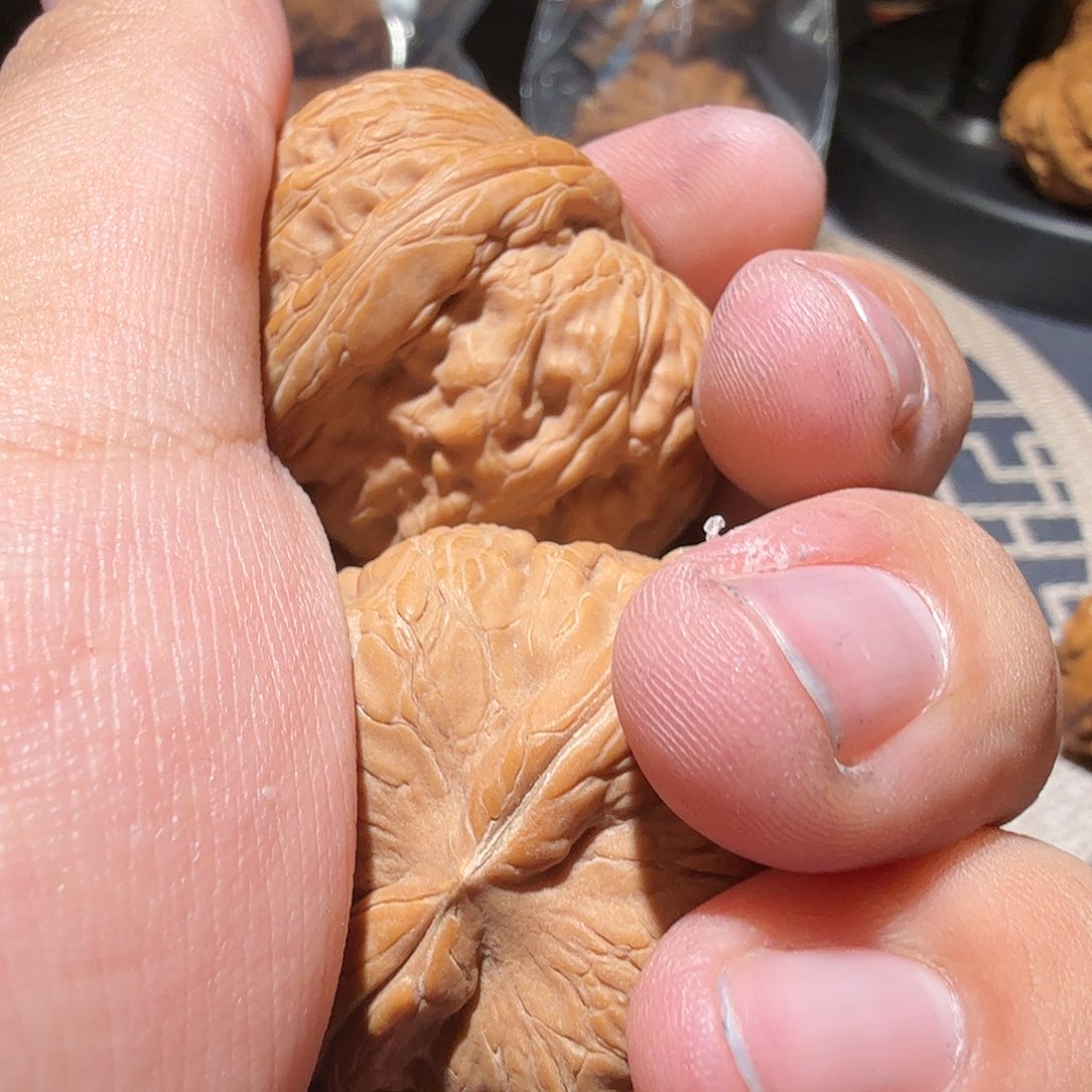 文玩核桃把件天**云元宝