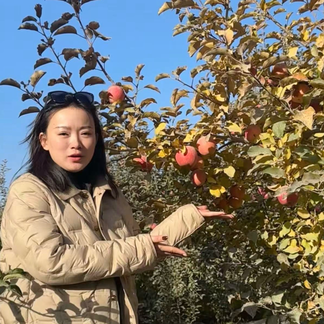 新疆阿克苏苹果5斤一份新疆维吾尔自治区