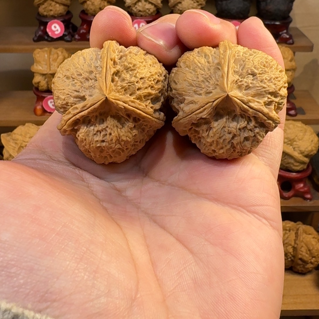 铁核桃把件珊瑚纹绣球三棱正奔