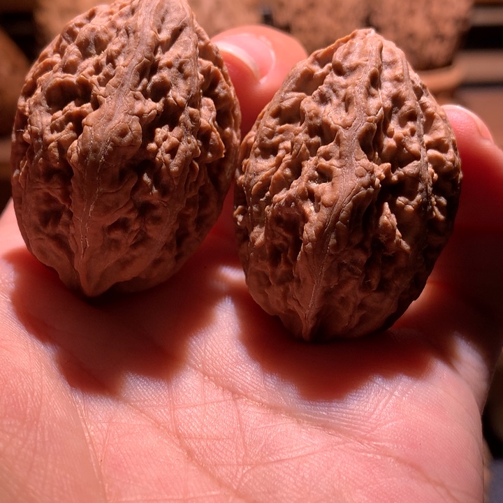 文玩核桃吊坠楸玥核23