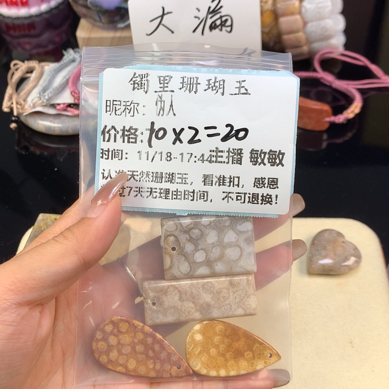 【闪购商品】颈饰未镶嵌硅化珊瑚（珊瑚玉）伪*