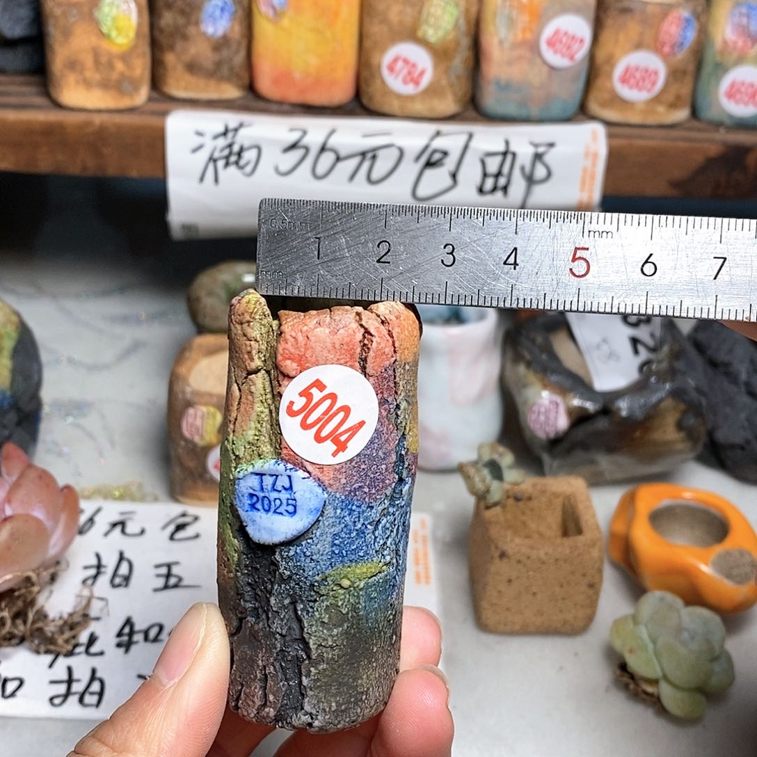 红陶拍5送一个小