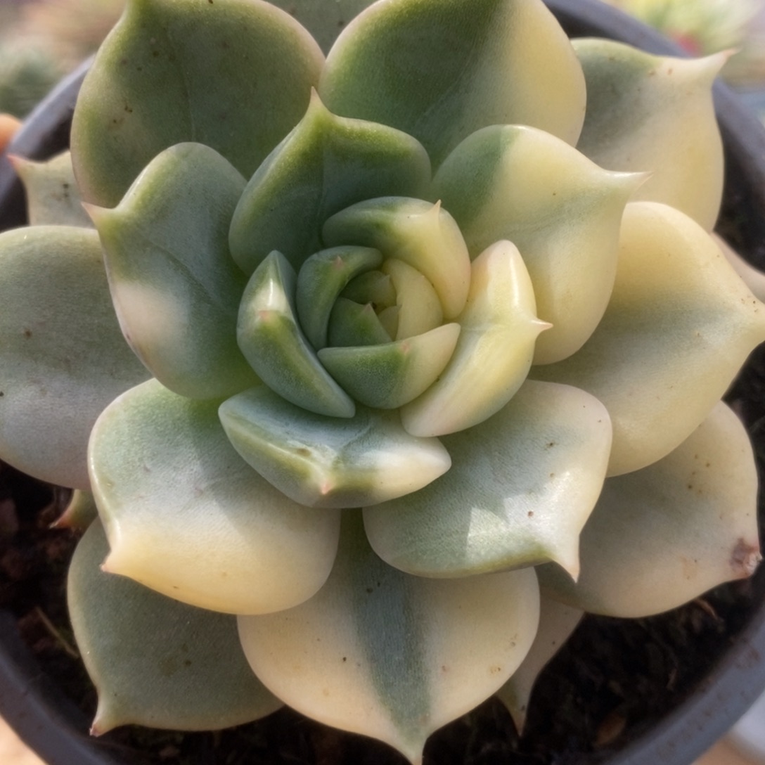 127贝加尔湖锦锦锦锦锦锦锦