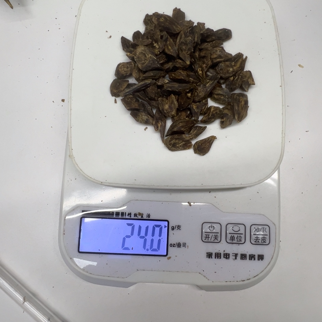 6***6沉香碎屑沉香沉香树丁