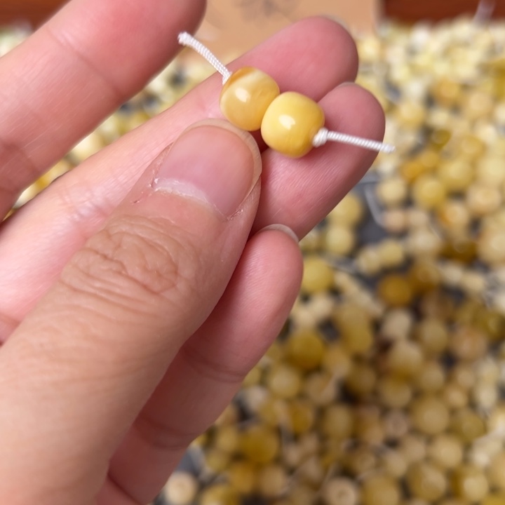 蜜蜡未镶嵌裸石8.3mm一对