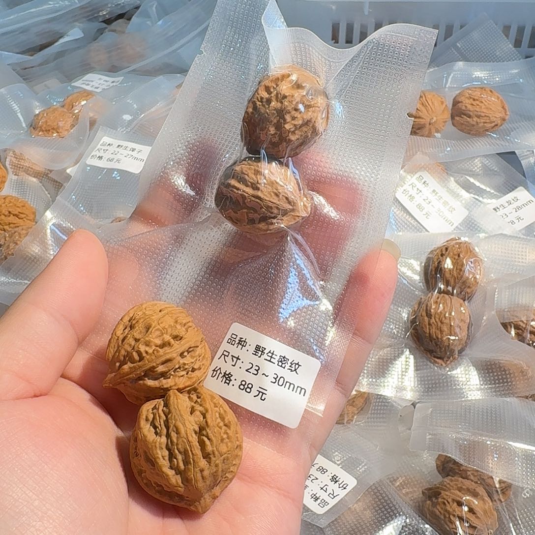 文玩核桃吊坠密纹和霸王龙