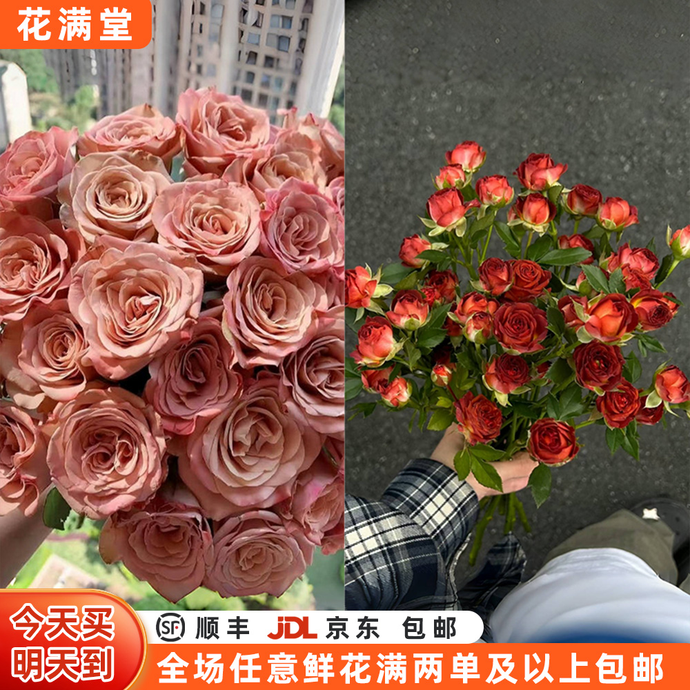 【次日达·复古浪漫】卡布奇诺5枝巧克力泡泡5枝·全场两单顺丰包邮·基地直发·批发·鲜切花次日达