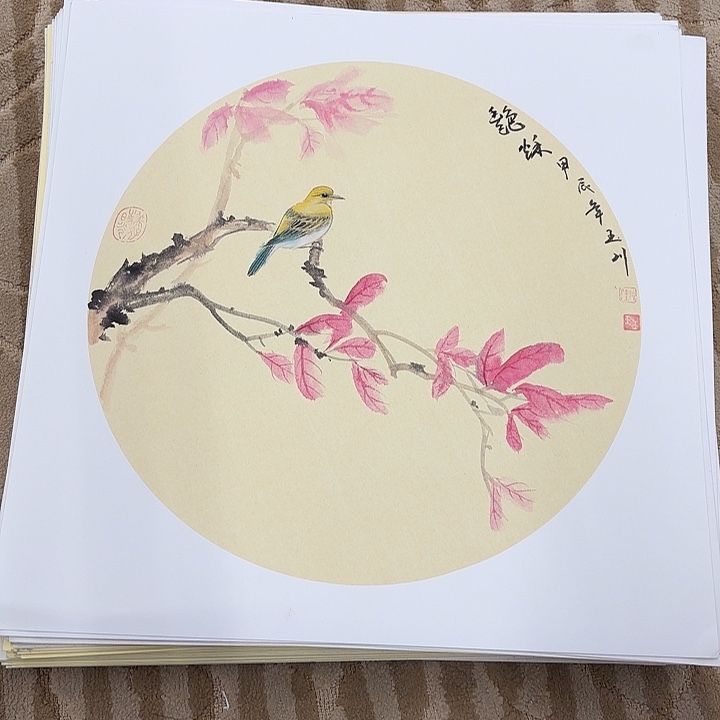 国画花鸟等多种鸟类的栖息地和