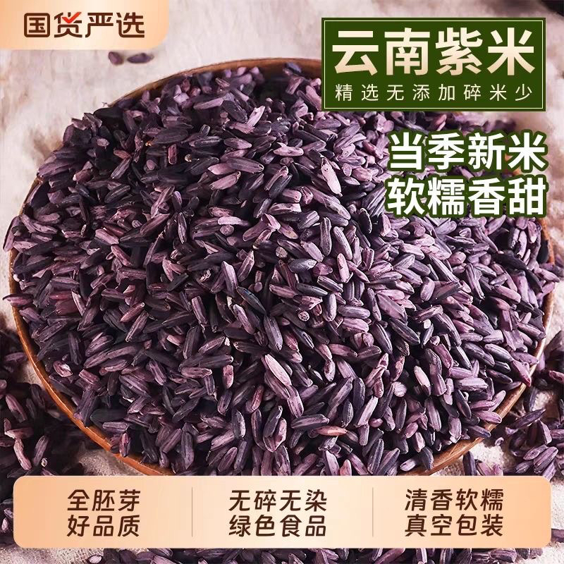 云南老品种紫糯米