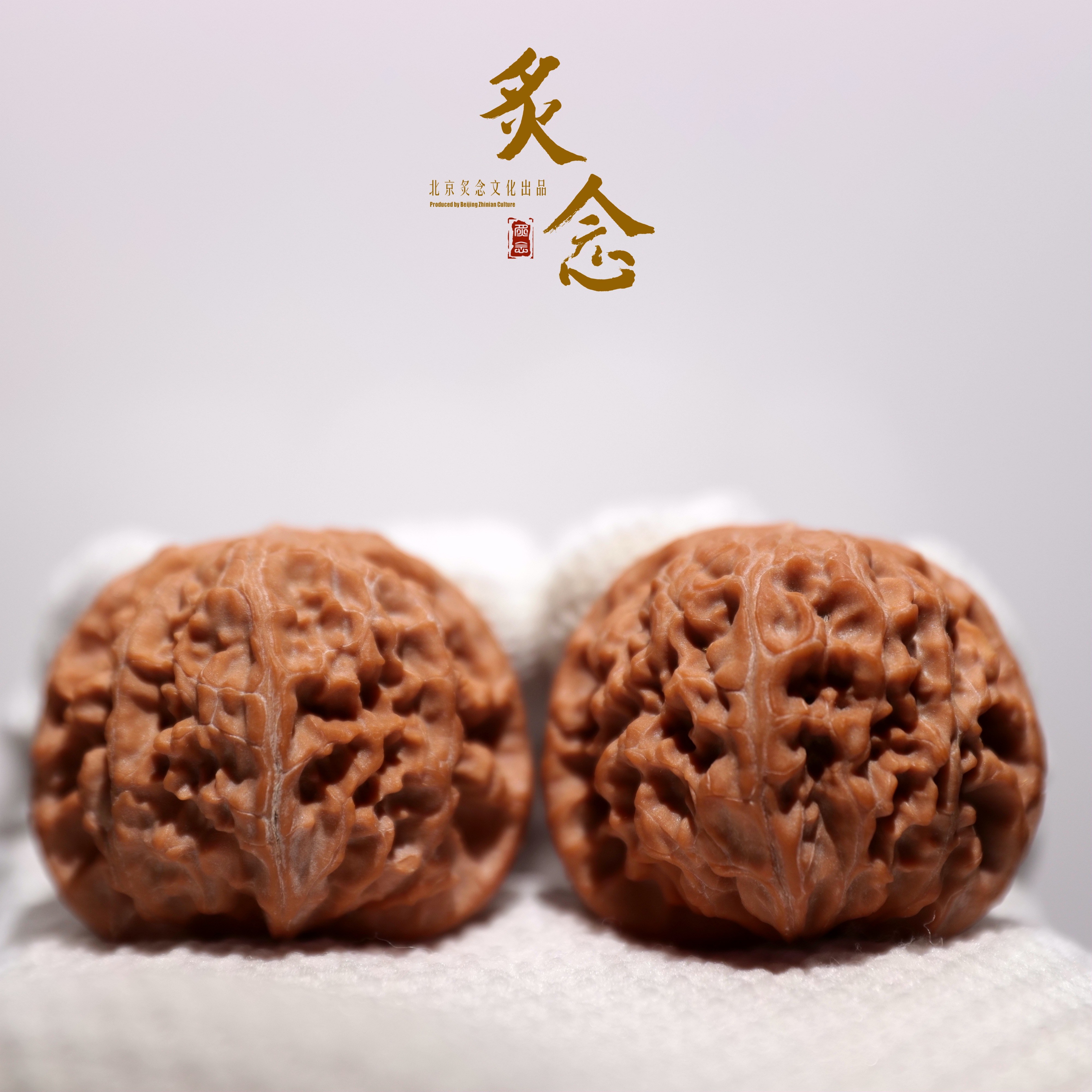 龙眼 · 38.5-41-33 一物一图 文玩好物
