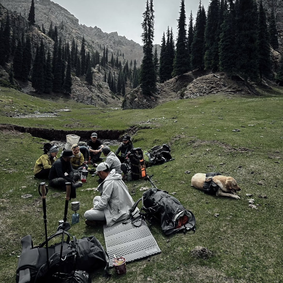 潘-G230夏季新款短裤潮流泡泡纱纯色百搭大气男女同款短裤