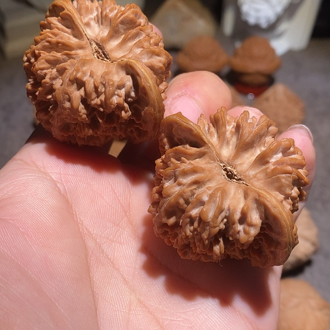 手串/手链核桃48全品凹底满天星