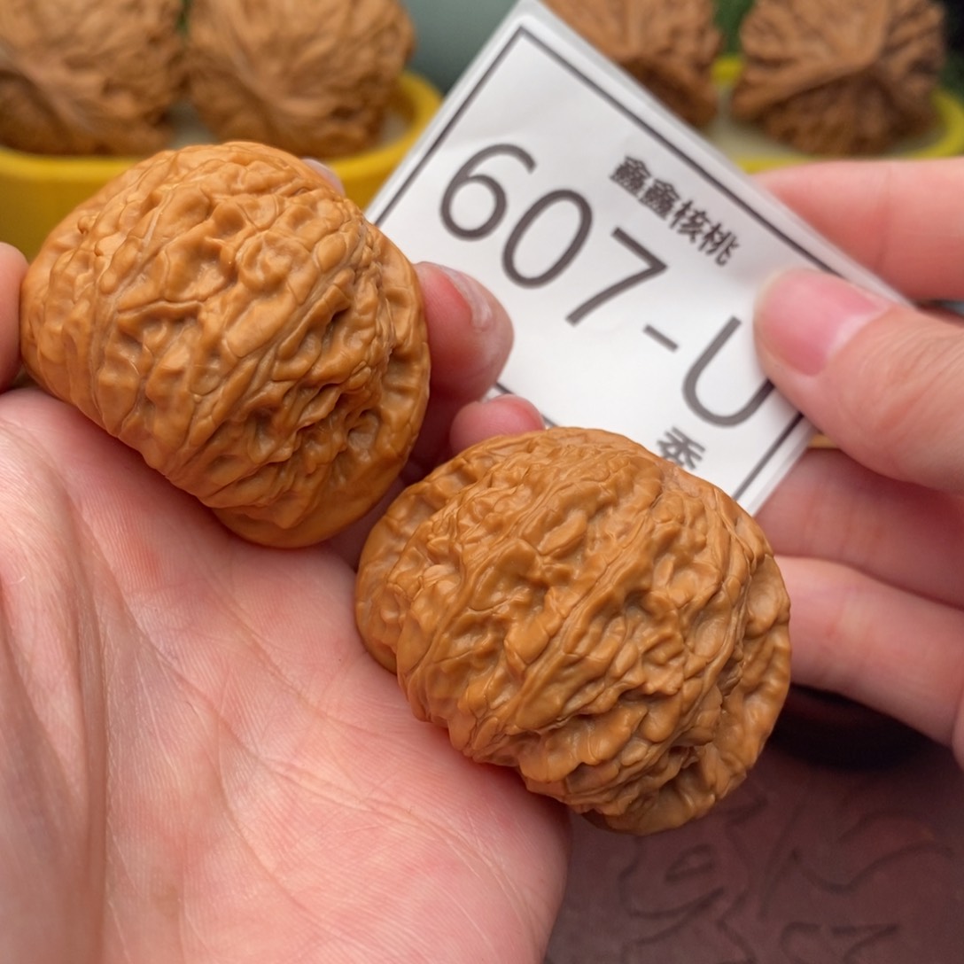 文玩核桃把件白狮子43