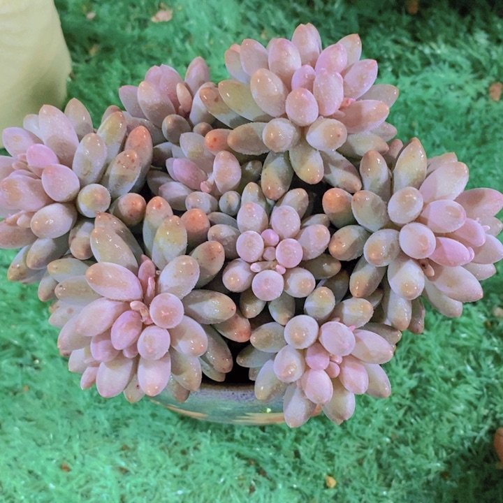 你也别去啊哈喽啦