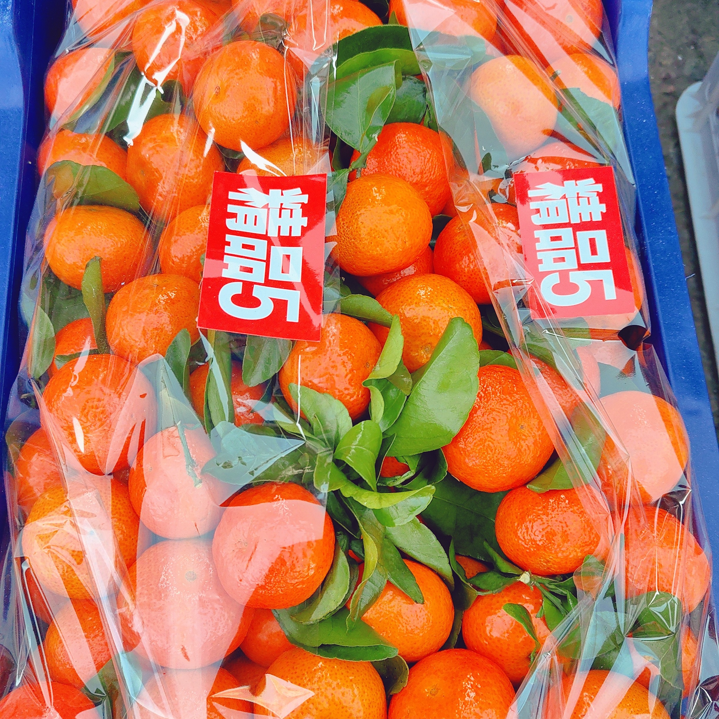 广西沙糖桔，口感甜，一件35元，一件10斤左右广西壮族自治区