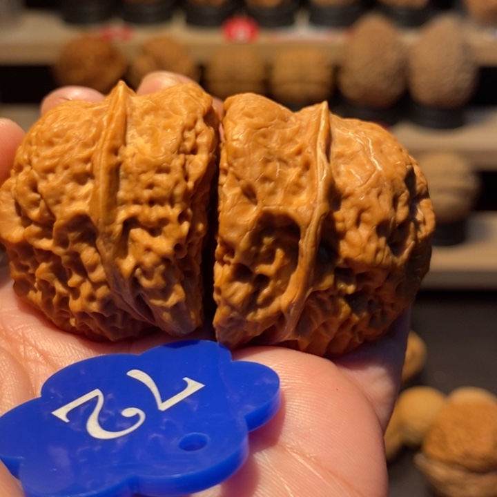 S***S木质类极品异形33尺寸