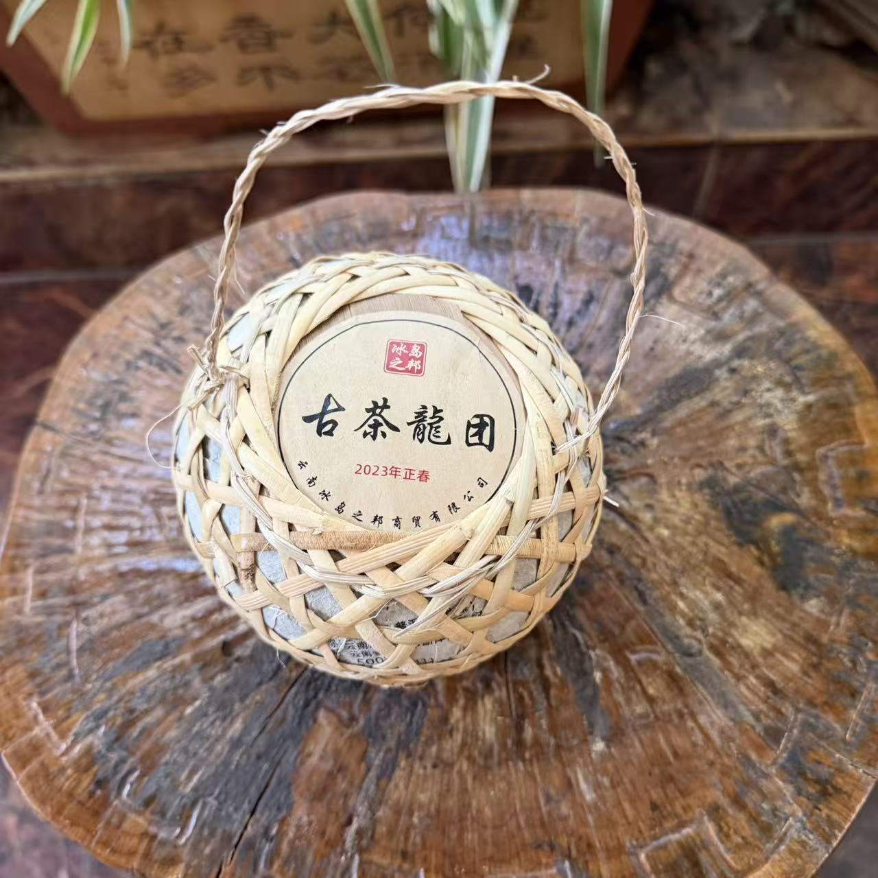 古树龙团生茶普洱茶 500g 2023年