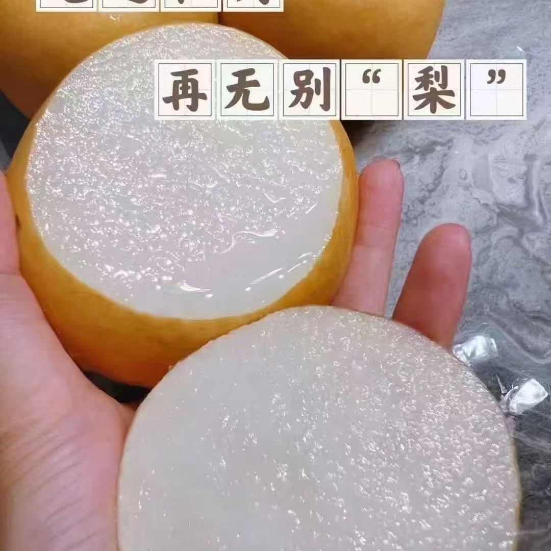 山东秋月梨1000g果肉洁白如玉 酥甜无渣可食率高