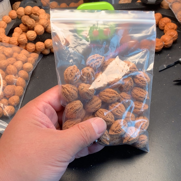 文玩核桃吊坠蒜*子野生精品小蓝核桃散籽