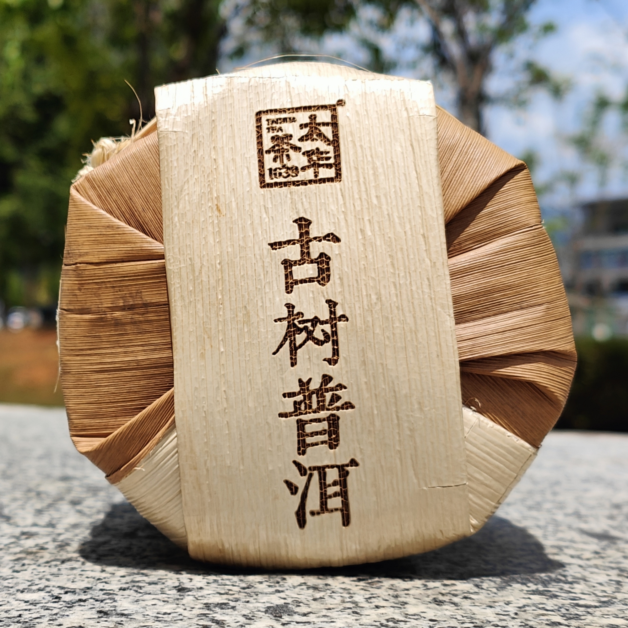 太华茶1639普洱茶生茶临沧古树茶春茶纯料云南七子饼茶500g2024年