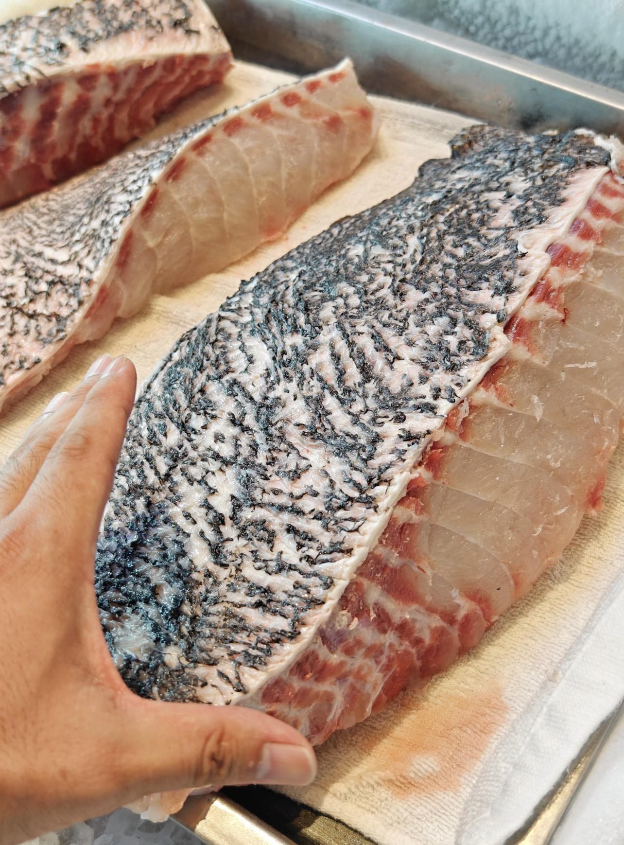 汕尾野生龙趸鱼肉 鱼腩 当天现杀野生海鲜 清蒸 红烧 顺丰冷链