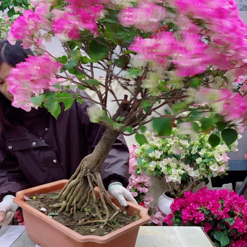 【闪购商品】完全开放