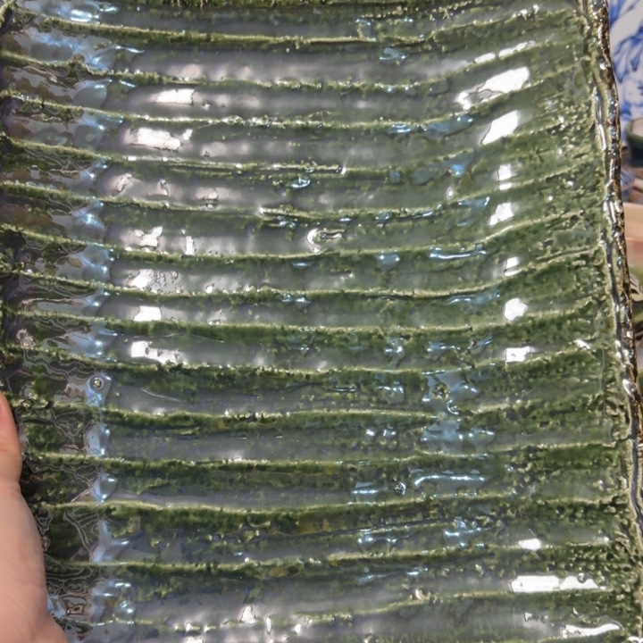 盘子上有个白色小点小