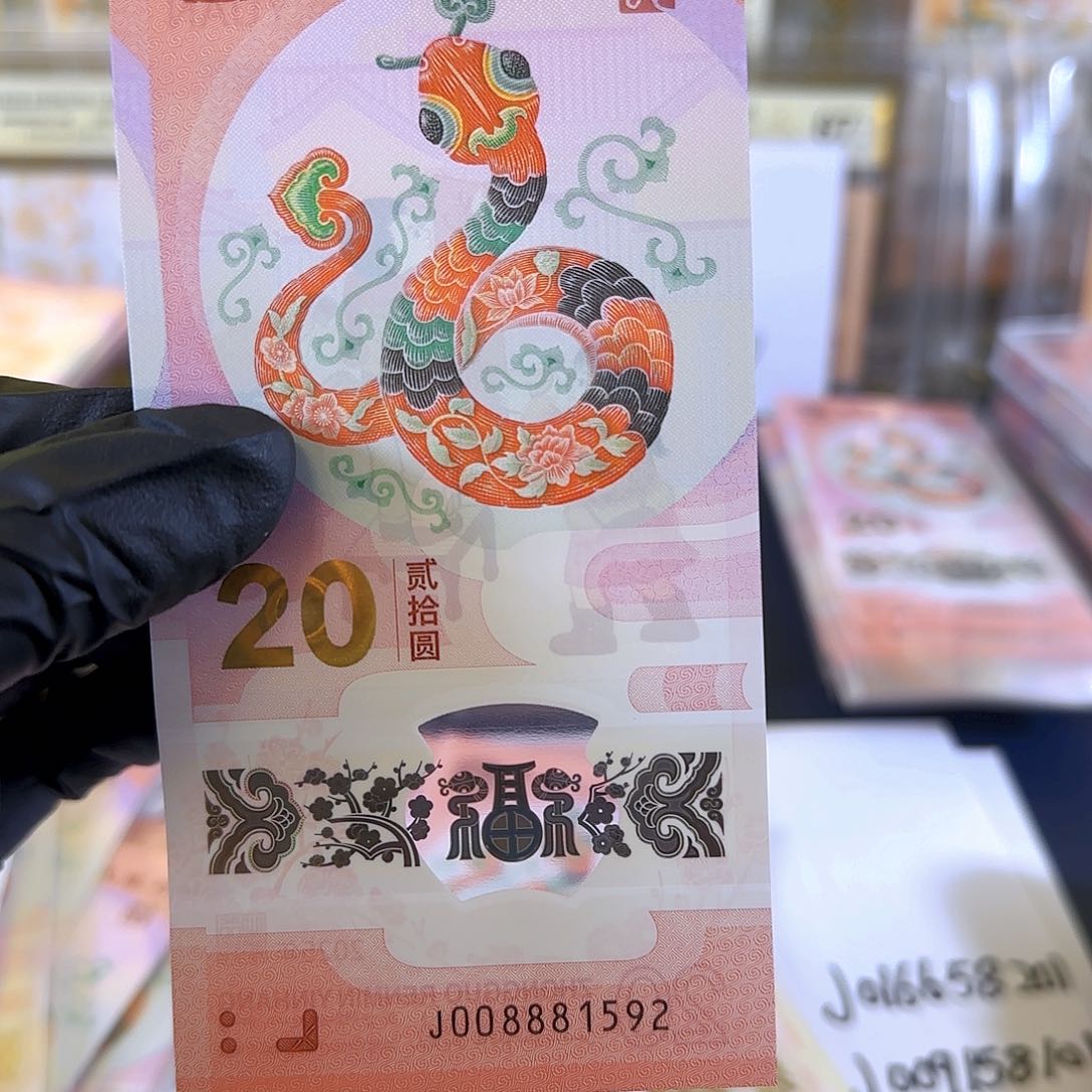 塑料生肖蛇008881592单张