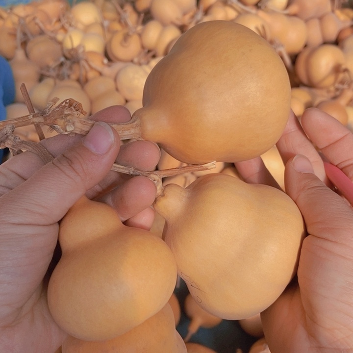 小***z小小幸运恭喜发财