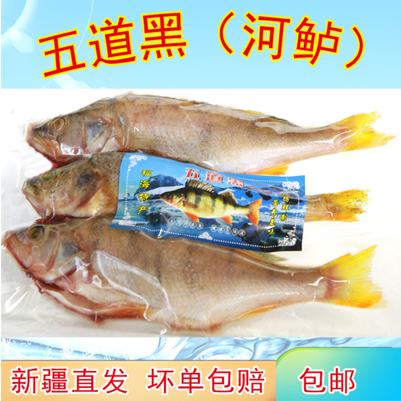 新鲜五道黑鱼河鲈冷水鱼冰鲜速冻开背新疆福海净膛整条去内脏包邮