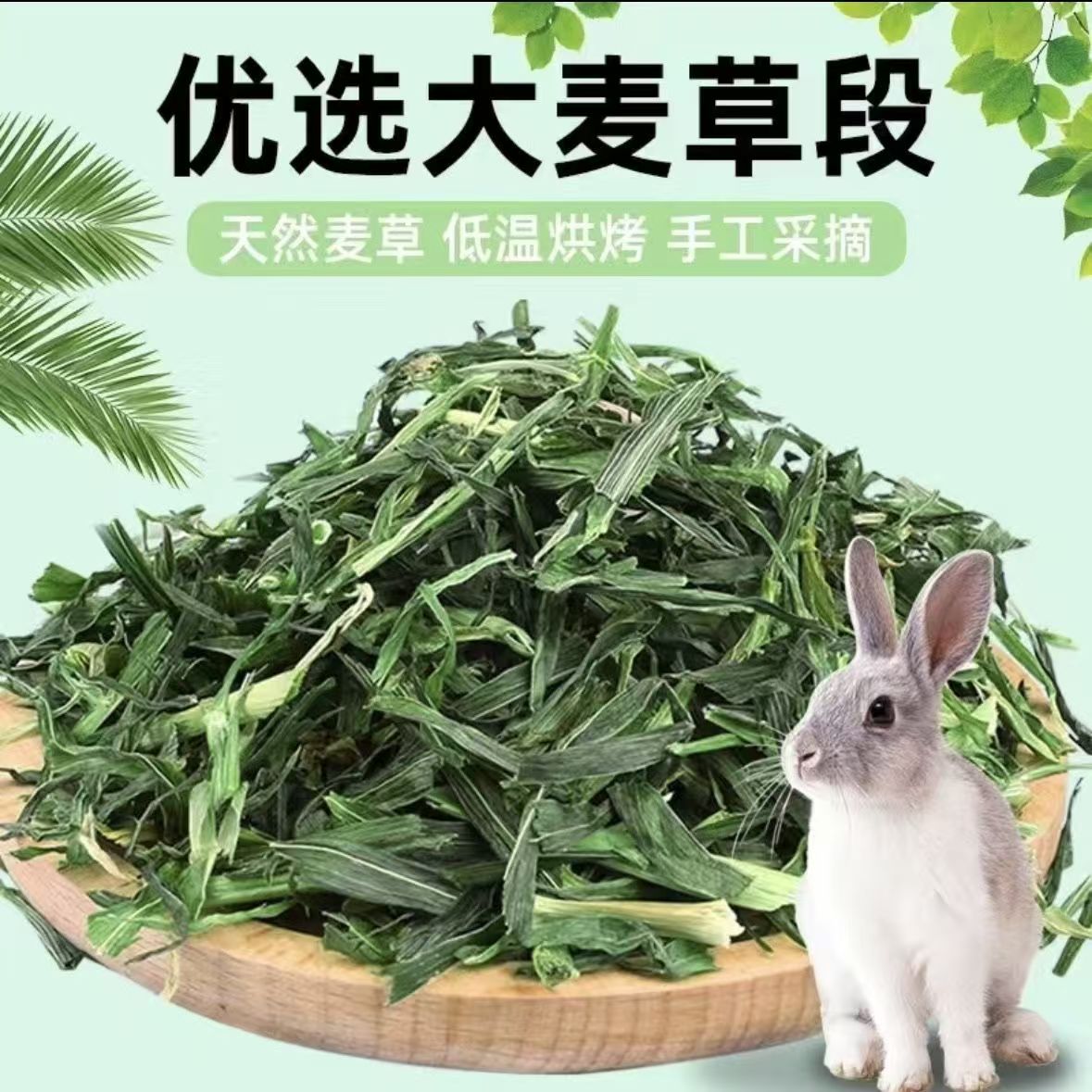 新大麦草段兔子龙猫豚鼠天竺鼠食物干草烘干麦草段粮食草粗纤维