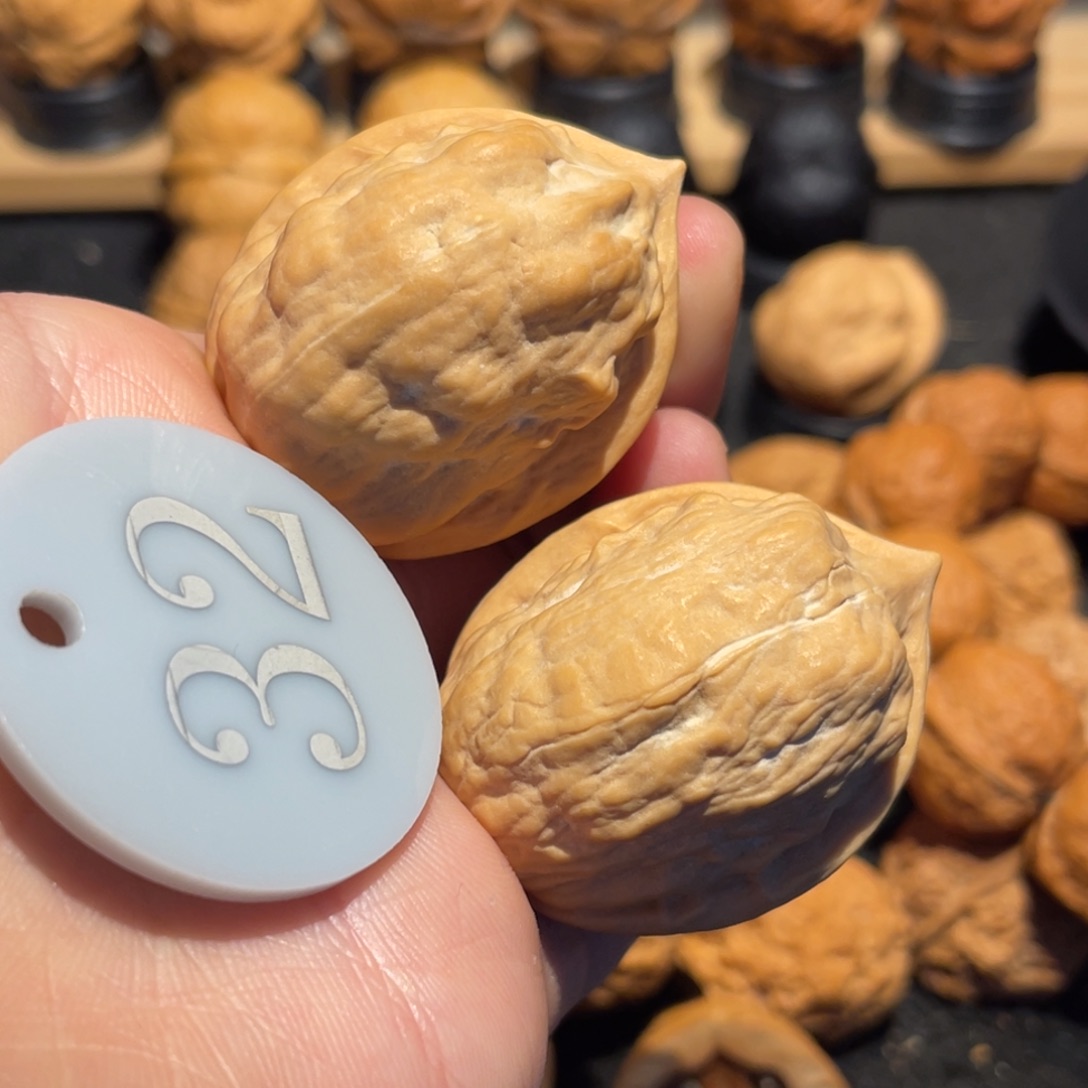 名款马头琴37。    