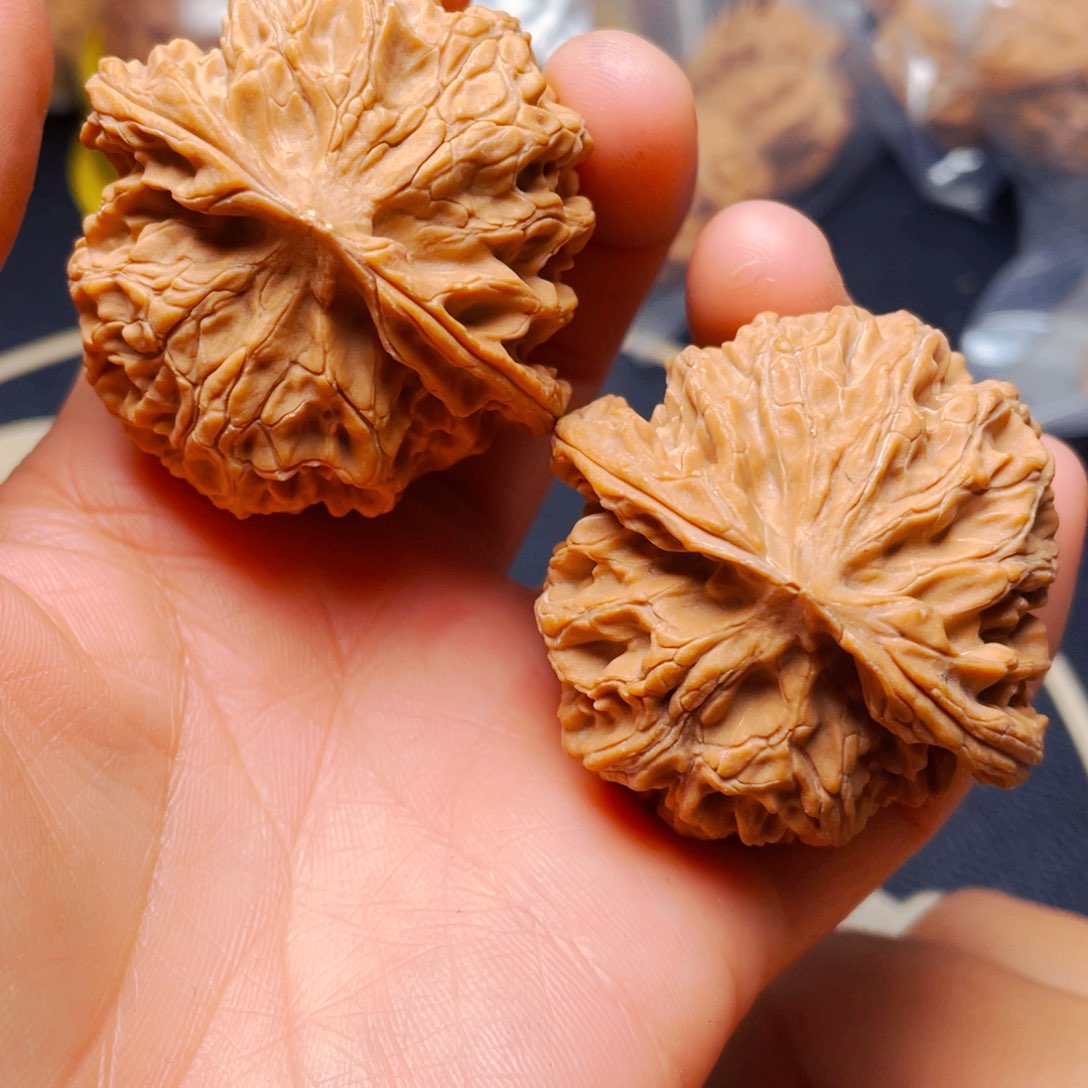 文玩核桃把件苹果圆儿44尺