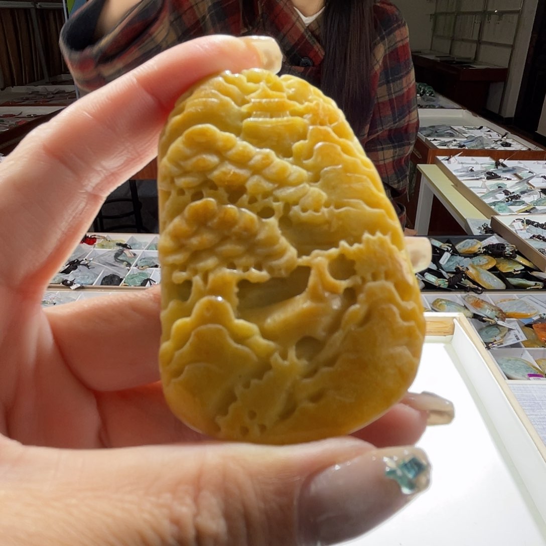翡翠未镶嵌颈饰一