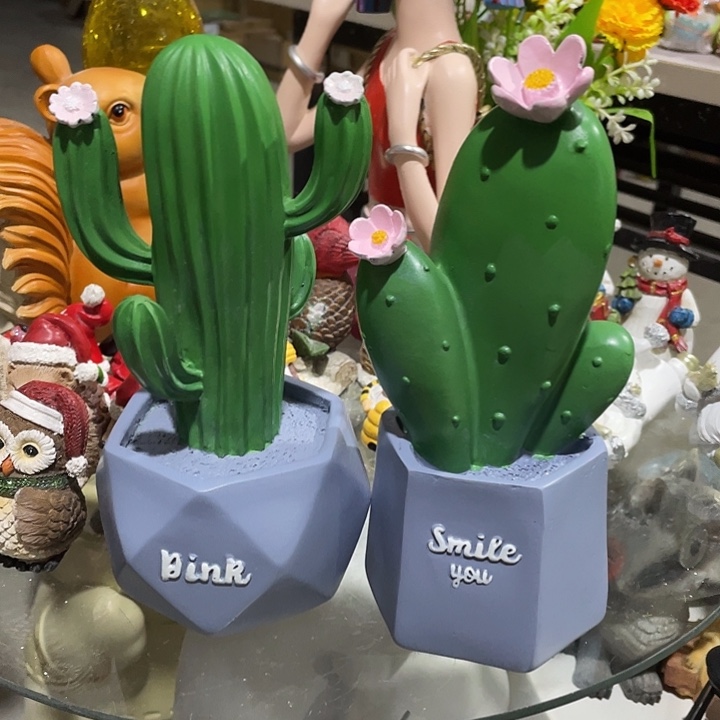 树脂样品样品样品仙人掌