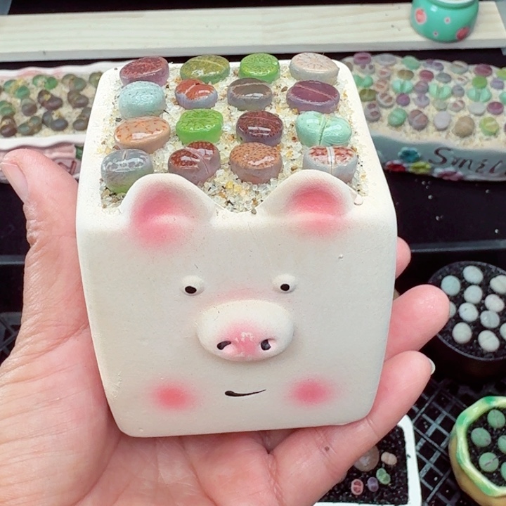 613零下地区记得拍保温箱