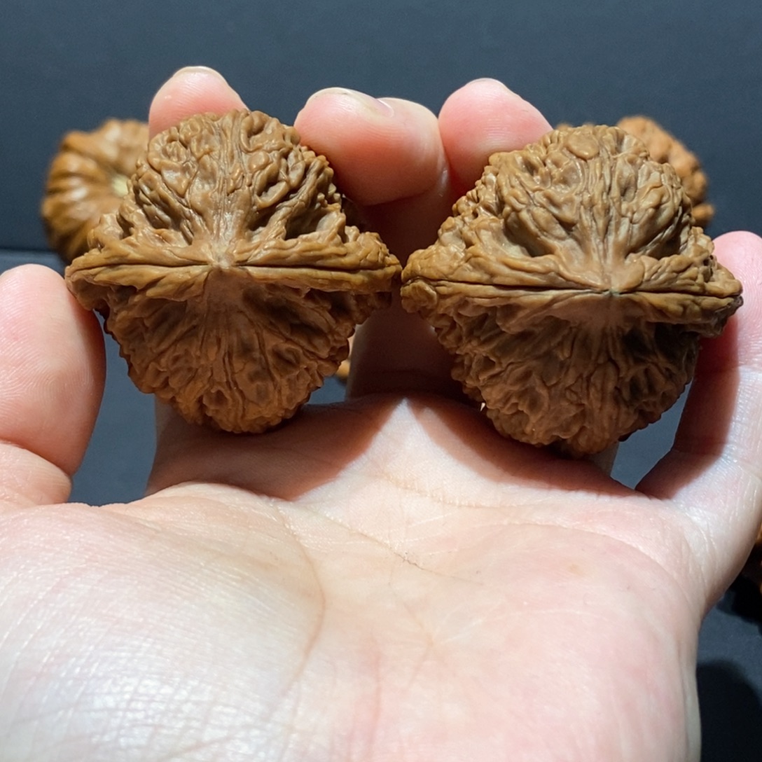 桃核吊坠123456南疆毕业