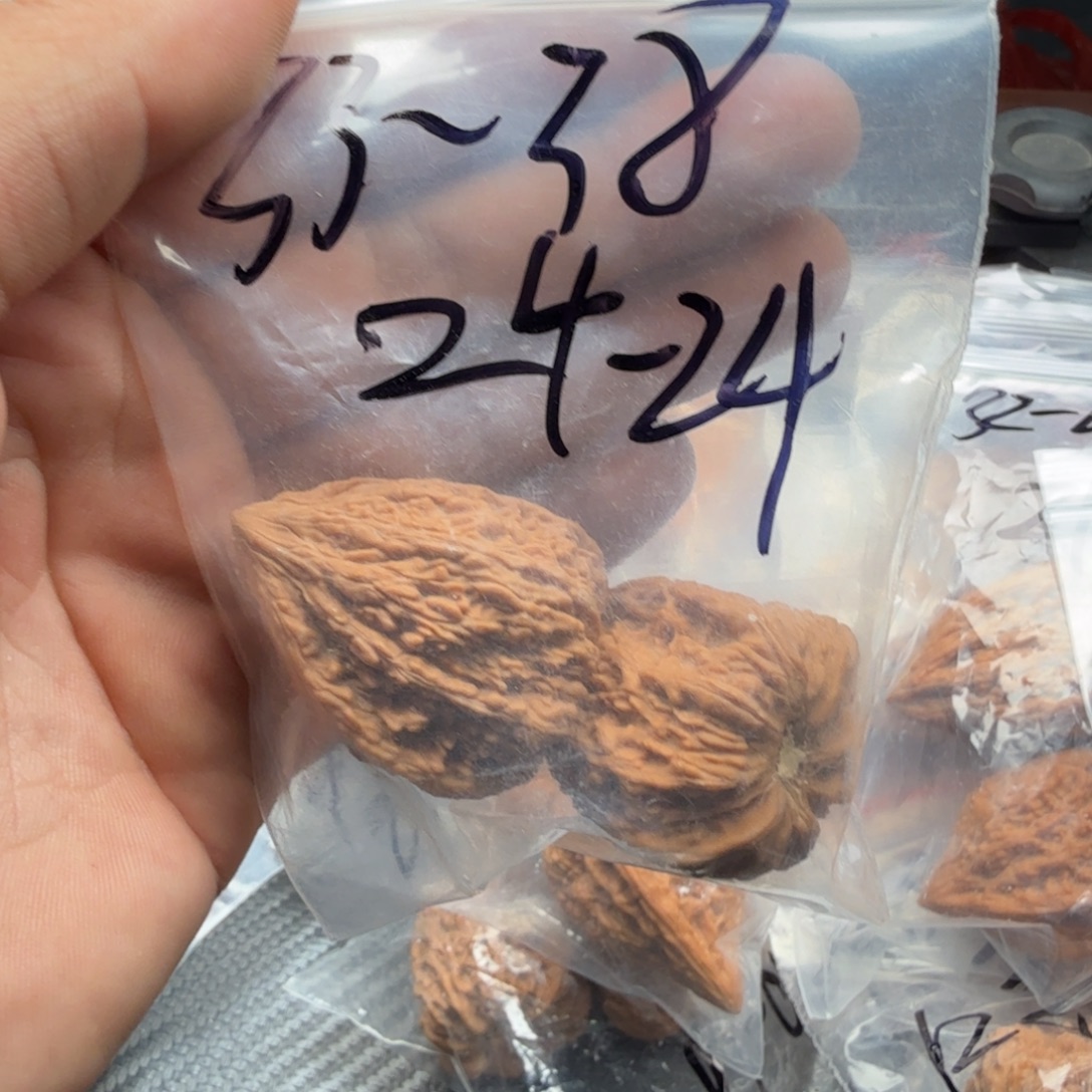 桃核吊坠福利塔尖24-24