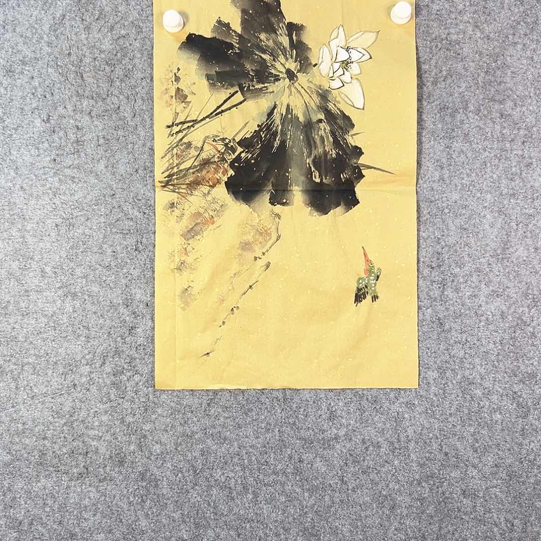 国画241 牡丹花等经济植物资源