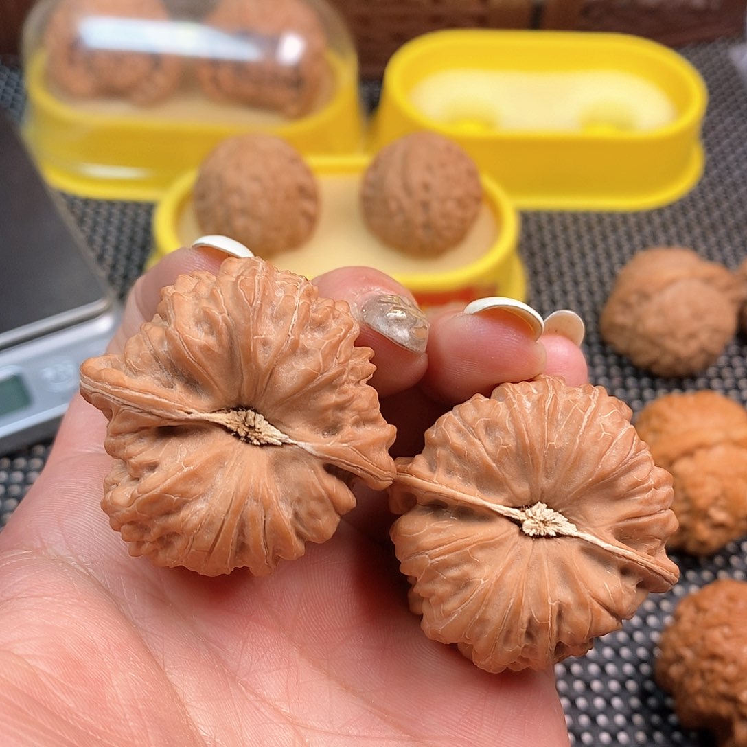 文玩核桃吊坠40➕平古凹底全品