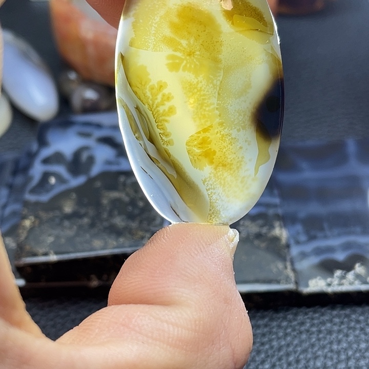 向***生玛瑙/玉髓未镶嵌颈饰