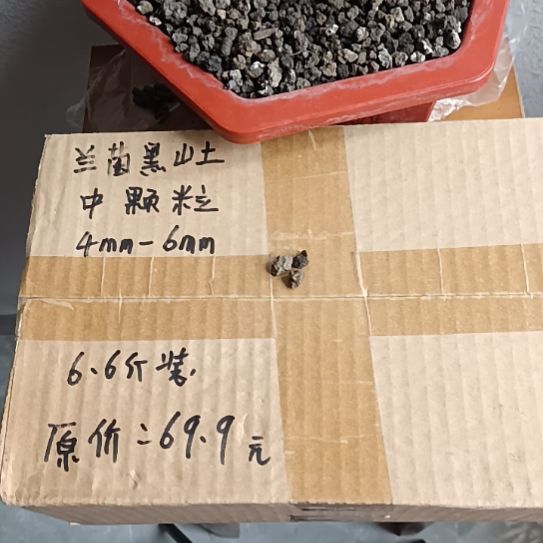五***郎兰菌黑山土中颗粒6.6斤