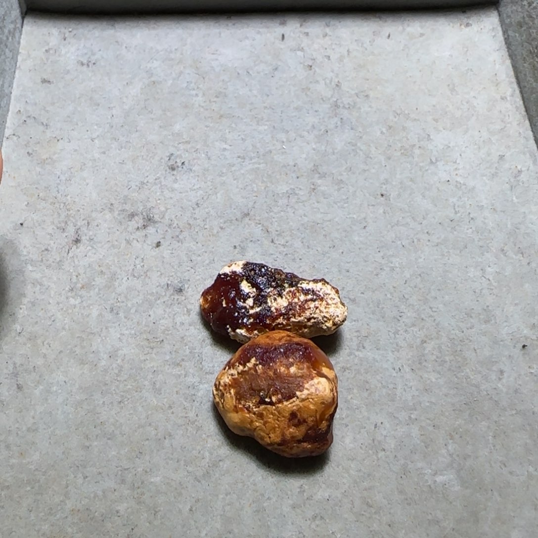 下***鱼定制琥珀未镶嵌专拍