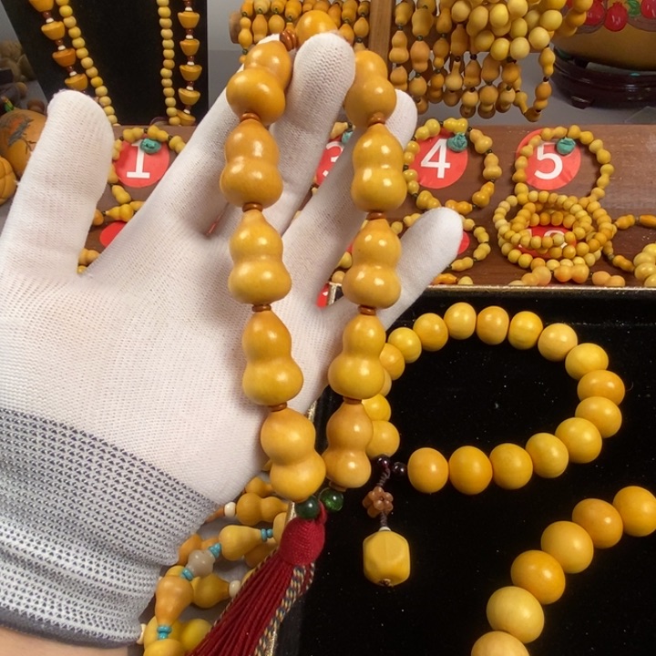 藤类其他钰*160A啊阿啊阿啊阿啊阿啊阿