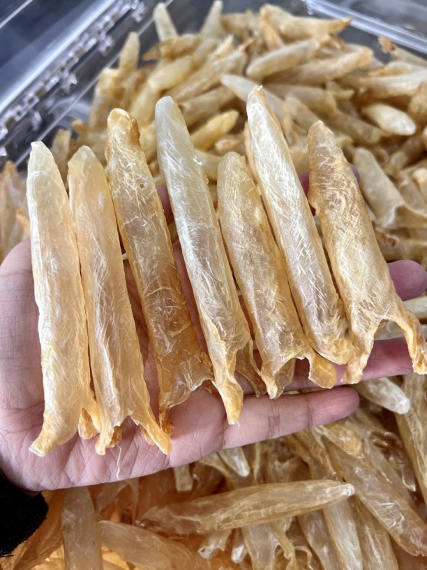 渔民自晒黄花鱼胶黄花筒蒸汤做奶冻煲糖水好吃不贵