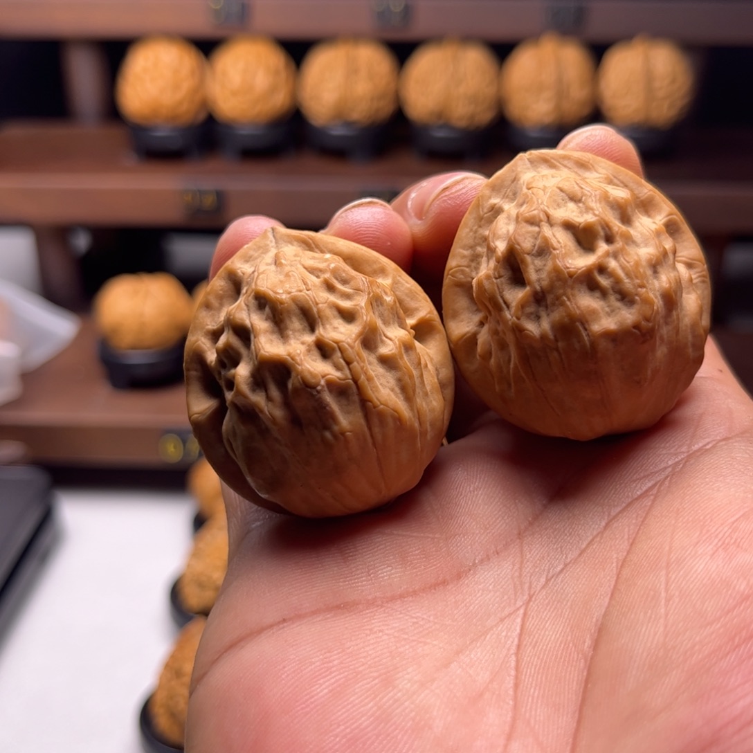 夫***瑞把件文玩核桃金甲虫王