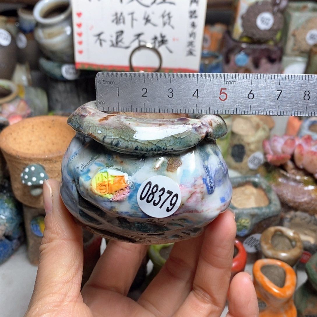 花盆拍1送一个小礼物