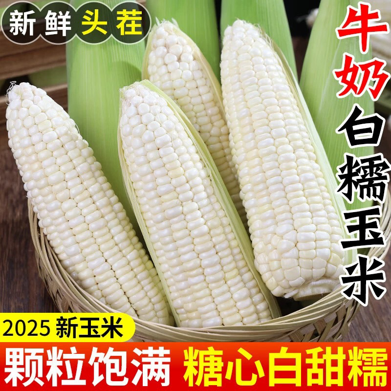 现摘新鲜白糯玉米河南农家自种老品种带壳带皮玉米棒子可生吃生鲜